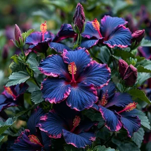 Гибискус Голден Глоу купить по цене от 259р. в интернет-магазине «Посадика» с доставкой почтой в в Москве и по всей России – [изображение №1].