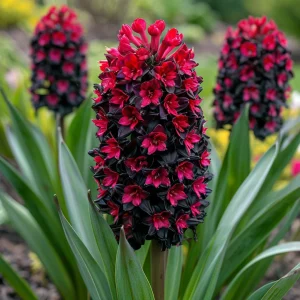 Гиацинт Джем Стоун купить по цене от 2099р. в интернет-магазине «Посадика» с доставкой почтой в в Москве и по всей России – [изображение №1].